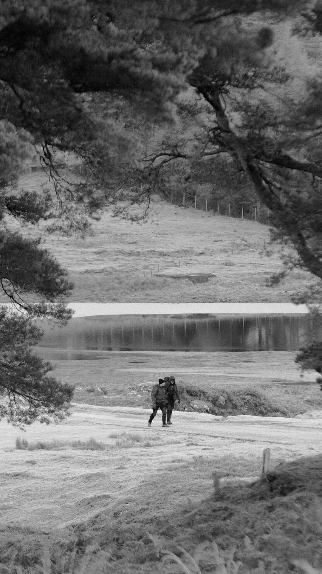The Studio Graft team walking next to a Scottish lake